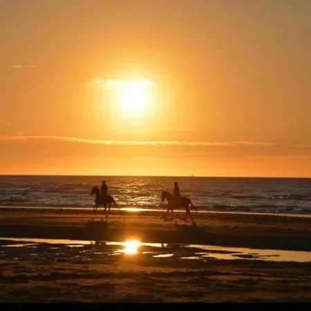 Apartment Seaside Escape W Balcony