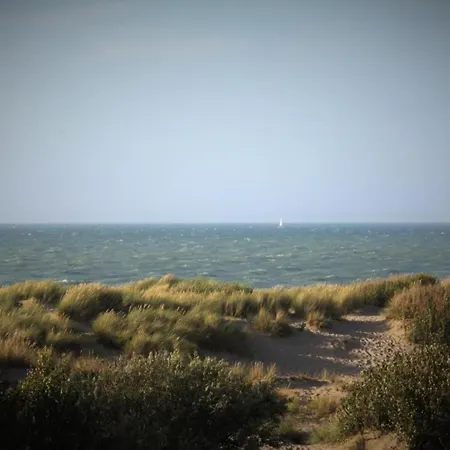 Daire Seaside Escape W Balcony De Haan