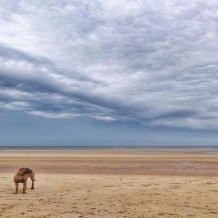 Seaside Escape W Balcony