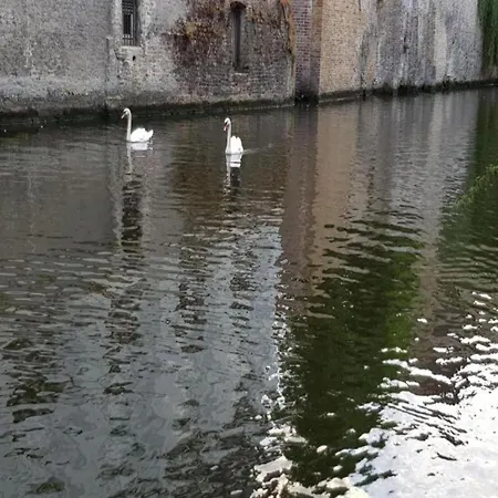 Seaside Escape W Balcony